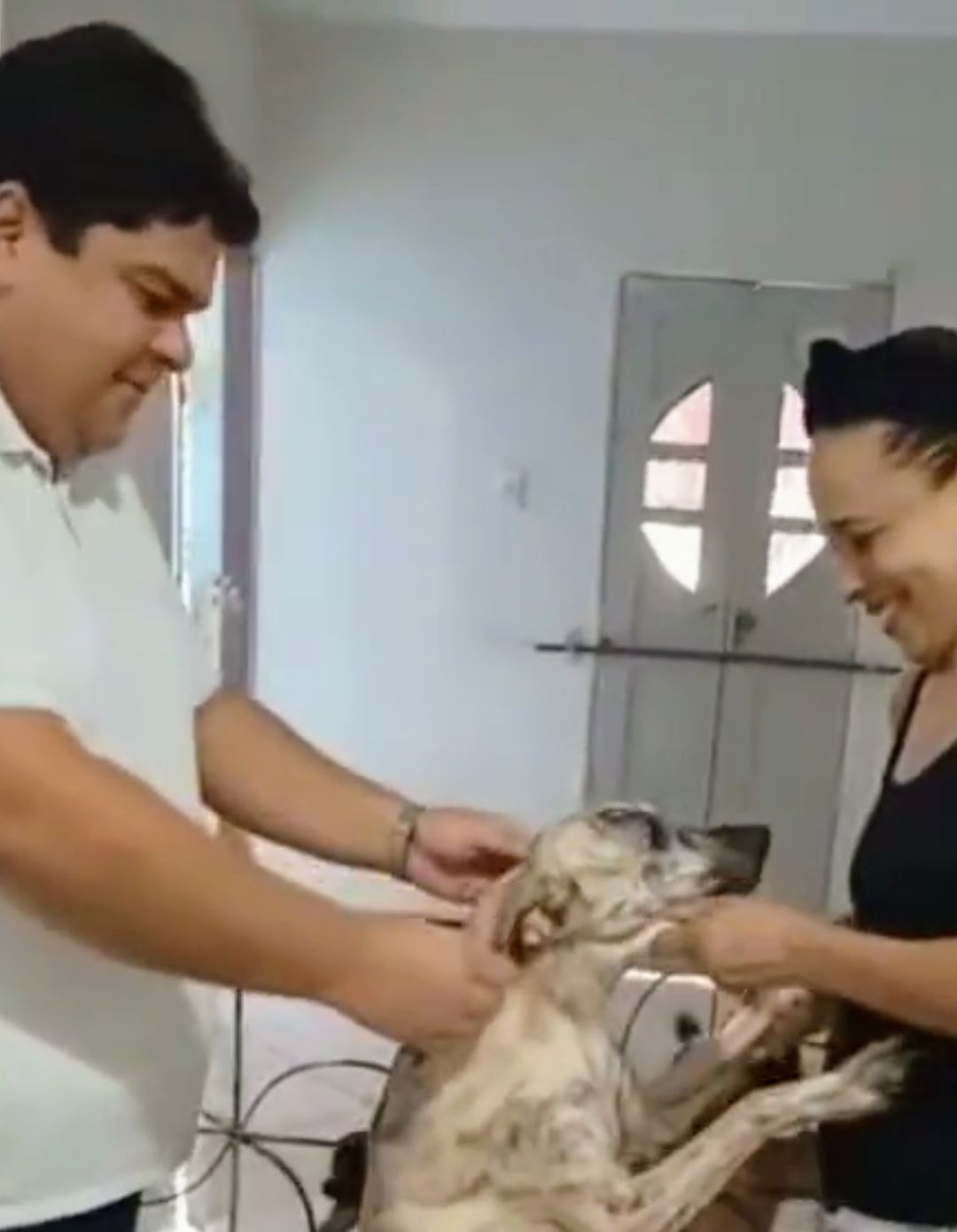 Secretário Renato Nogueira promove conscientização sobre a causa animal ao visitar abrigo ONG Sonho Animal