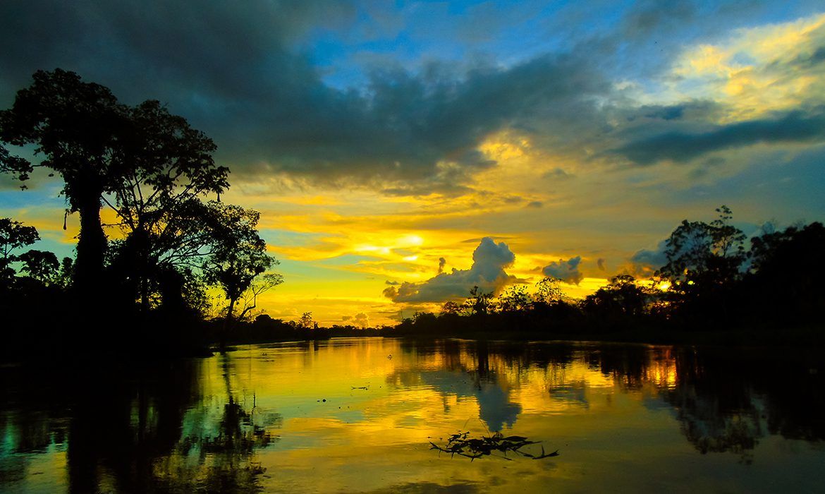 Descubra a Amazônia: Uma Aventura Inesquecível com a Viator Turismo