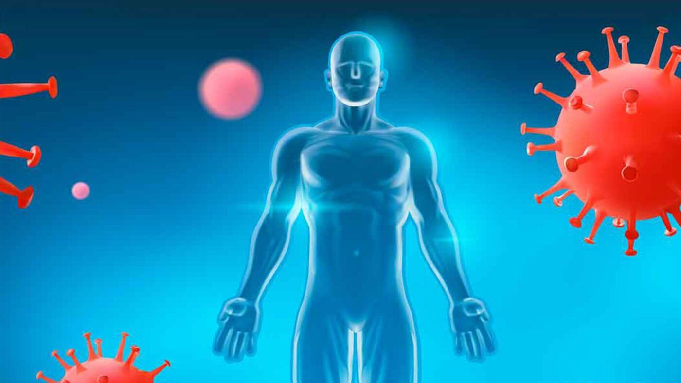 Alimentos que Ajudam a Fortalecer o Sistema Imunológico