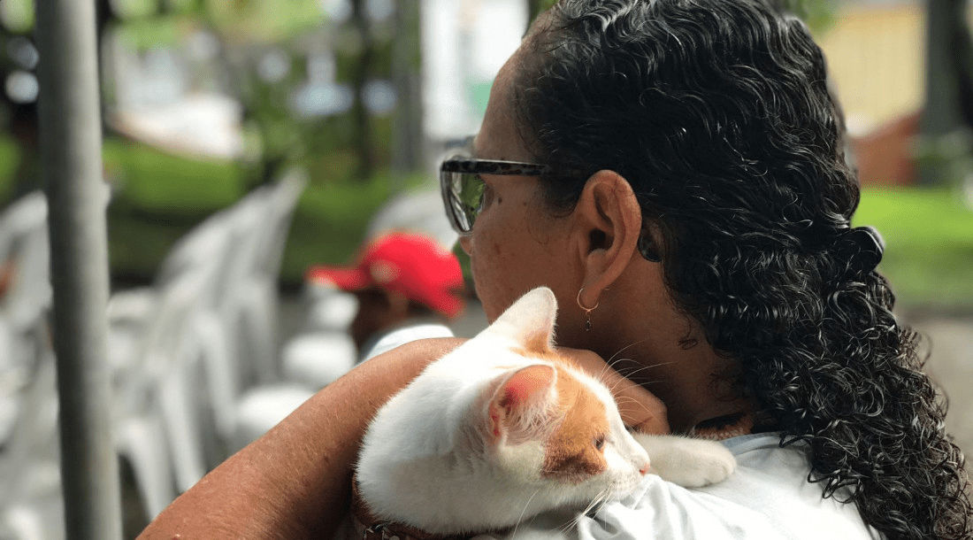 Triagem para o Castramóvel: Agendamento ocorre em Itaporanga d’Ajuda nesta quarta-feira, dia 9