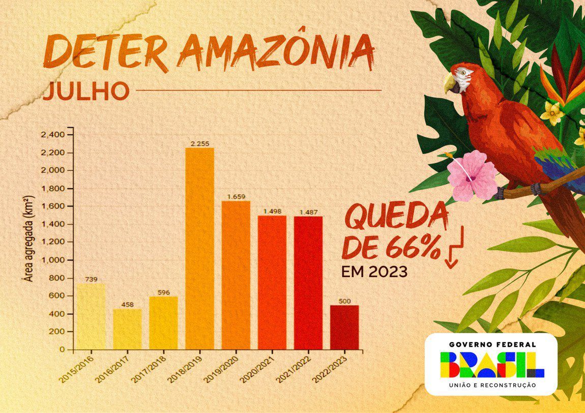 Taxa de desmatamento na Amazônia registra redução histórica de 66% em julho