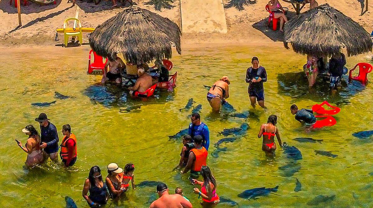 Descubra a Magia da Lagoa dos Tambaquis: Um Paraíso Aquático em Sergipe