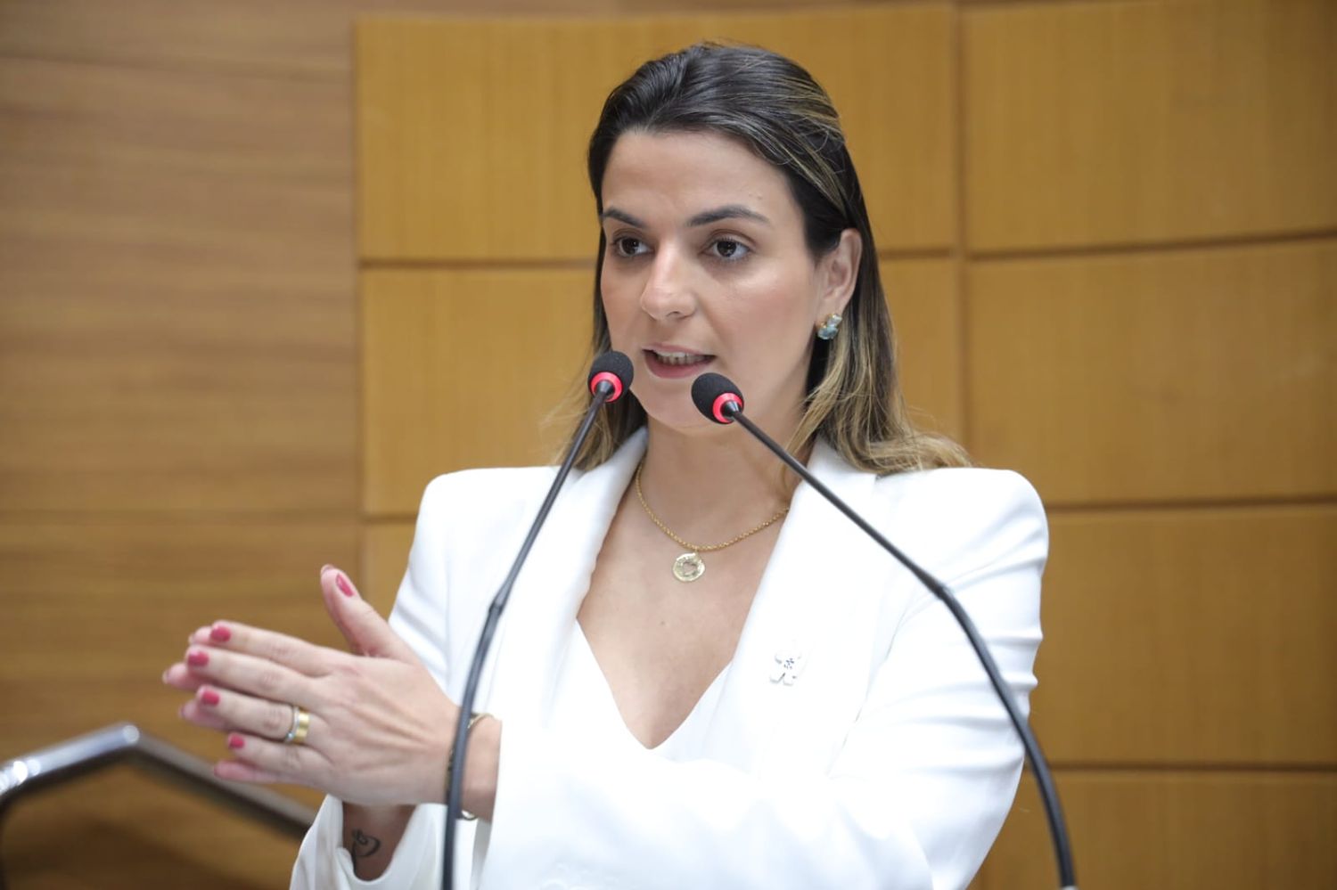 Projeto de Lei para substituição de sirenes por sinais musicais em escolas de Sergipe é aprovado por unanimidade na Assembleia Legislativa