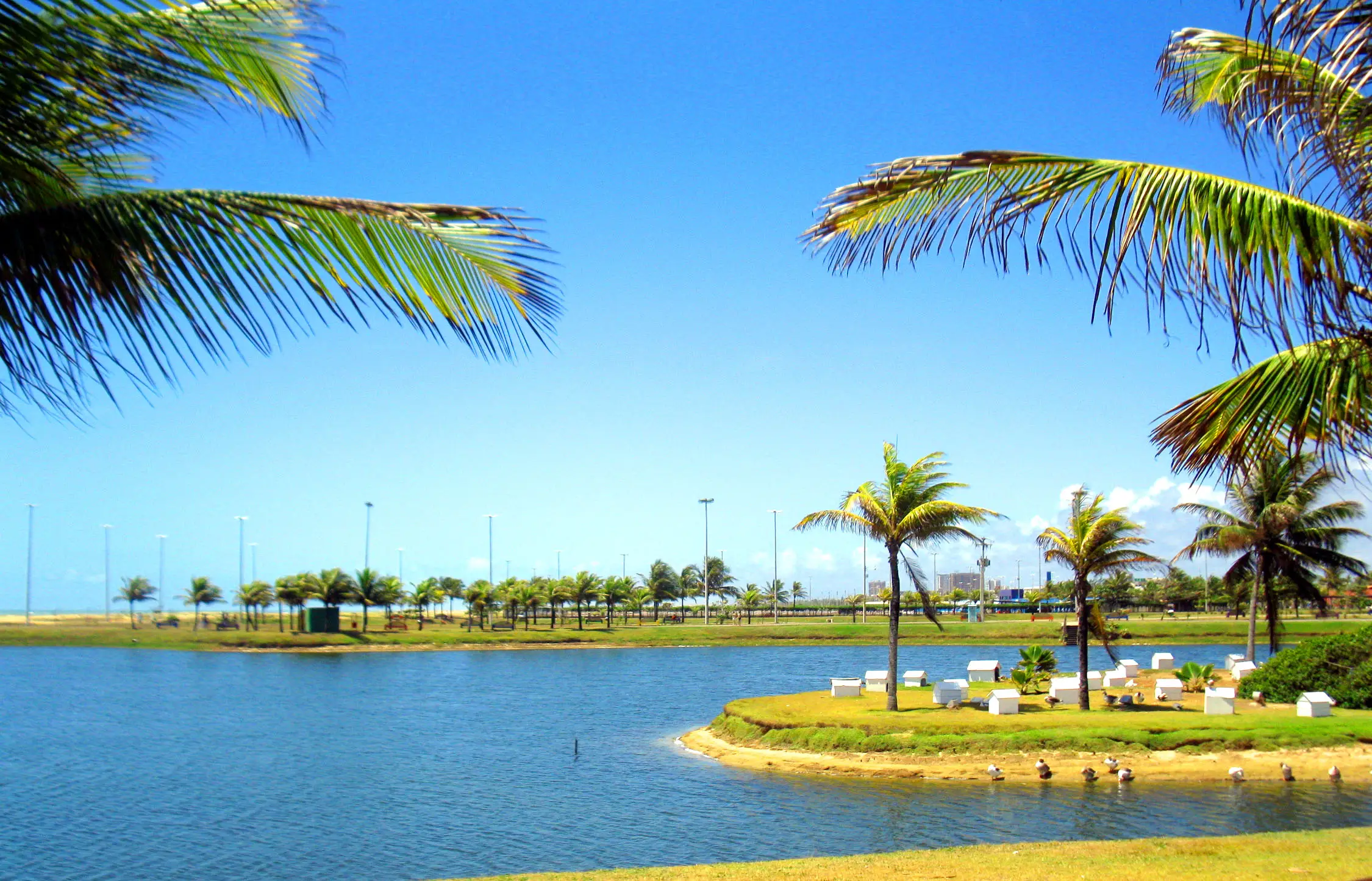 Programas Imperdíveis em Aracaju