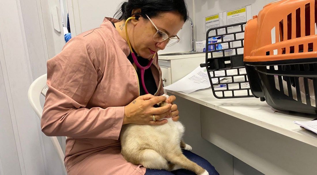 Semac leva atendimento e castração a animais no bairro Bugio