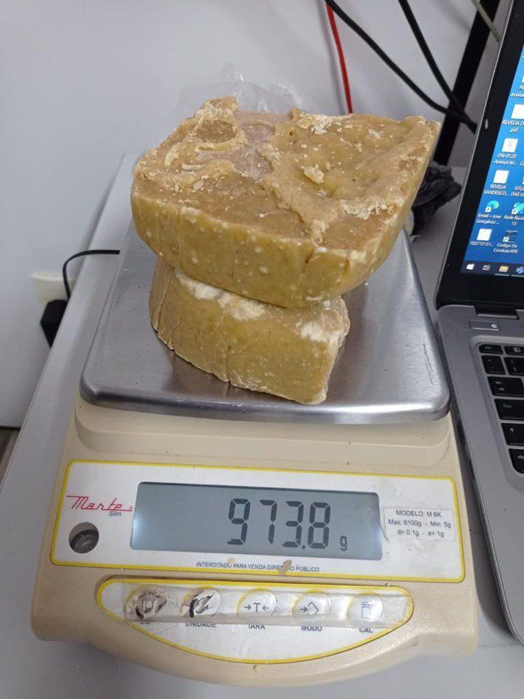 Auditores-fiscais e Correios em ação conjunta interceptam drogas avaliadas em R$ 240 mil