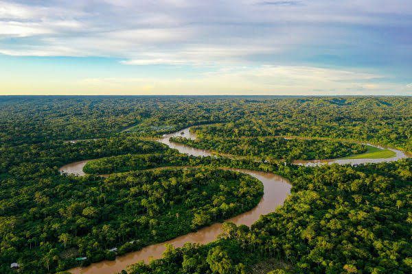 A Floresta Amazônica e a busca por soluções sustentáveis: O que o mundo precisa saber