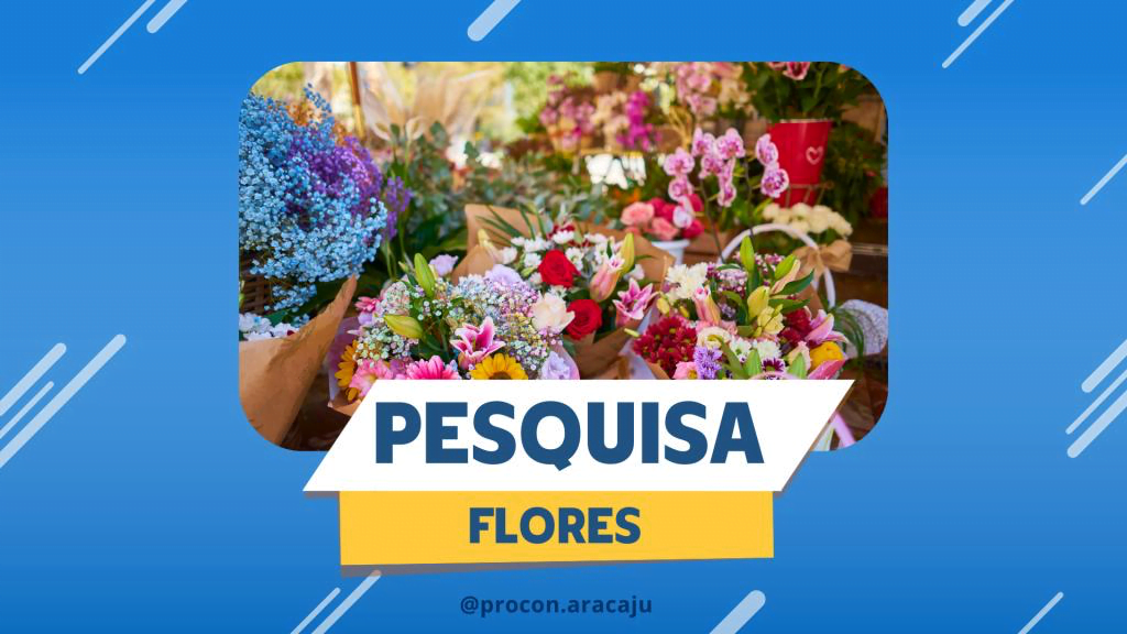 Procon Aracaju divulga pesquisa de preços