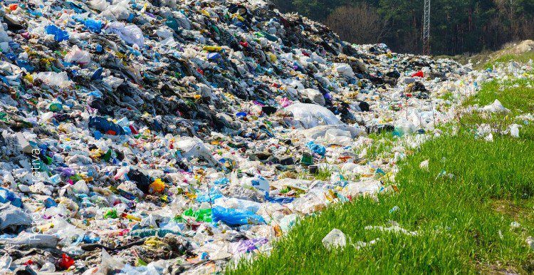 Ministério Público determina encerramento Imediato do 'Lixão' em Telha e Cedro de São João, Sergipe