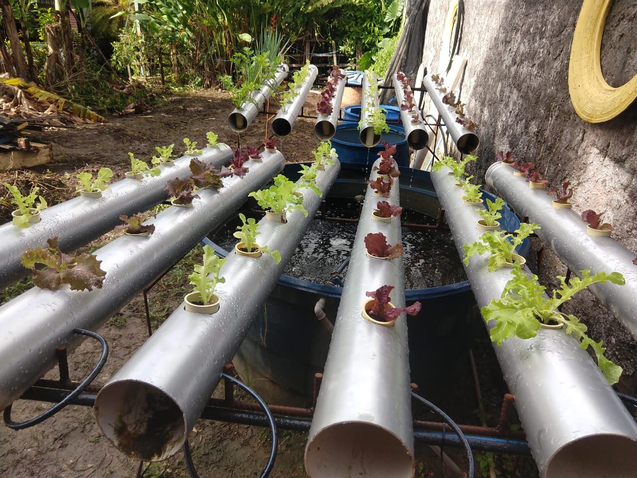 Senar Sergipe oferece 6 novos cursos gratuitos e online