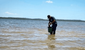 Adema investiga mortalidade de peixes no Rio Sergipe