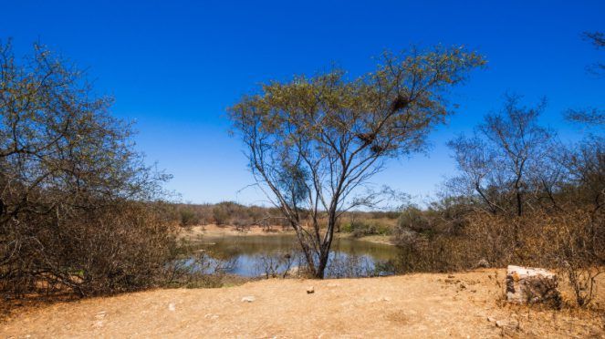 Secretaria de Meio Ambiente alerta para agravamento da seca em diferentes regiões de Sergipe