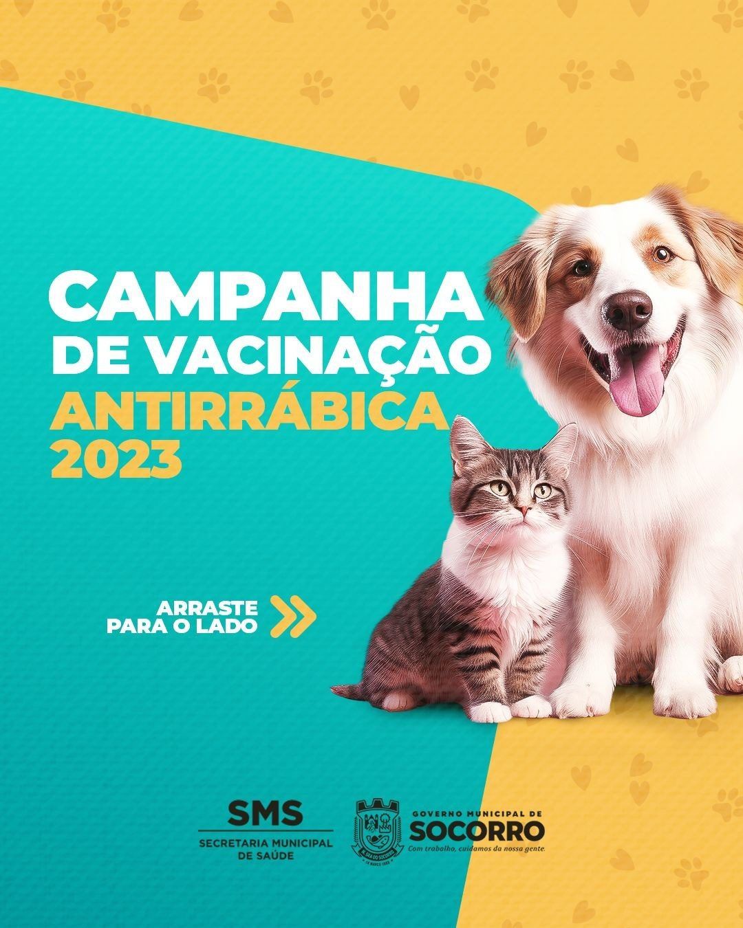 Campanha de vacinação antirrábica em Nossa Senhora do Socorro inicia nesta segunda-feira