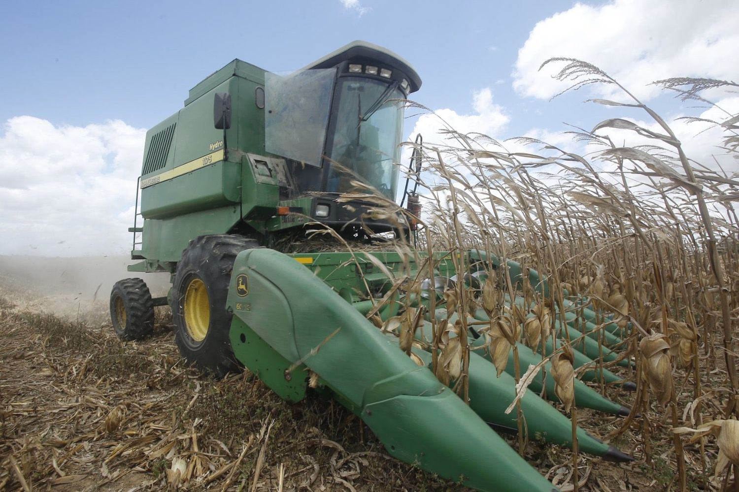 Em 2023 Sergipe terá safra recorde de milho