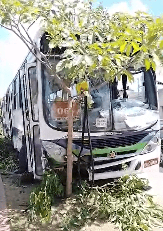 Ônibus Colide com Árvores no Conjunto Marcos Freire, em Nossa Senhora do Socorro