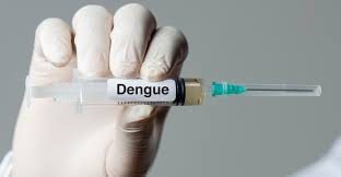 Vacina do Instituto Butantan contra dengue apresenta eficácia promissora, aponta estudo