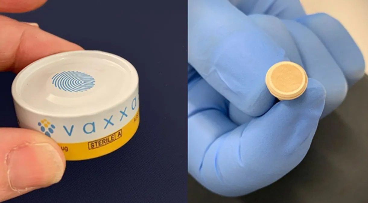 Pesquisadores desenvolvem vacina em formato de adesivo contra o Vírus Zika