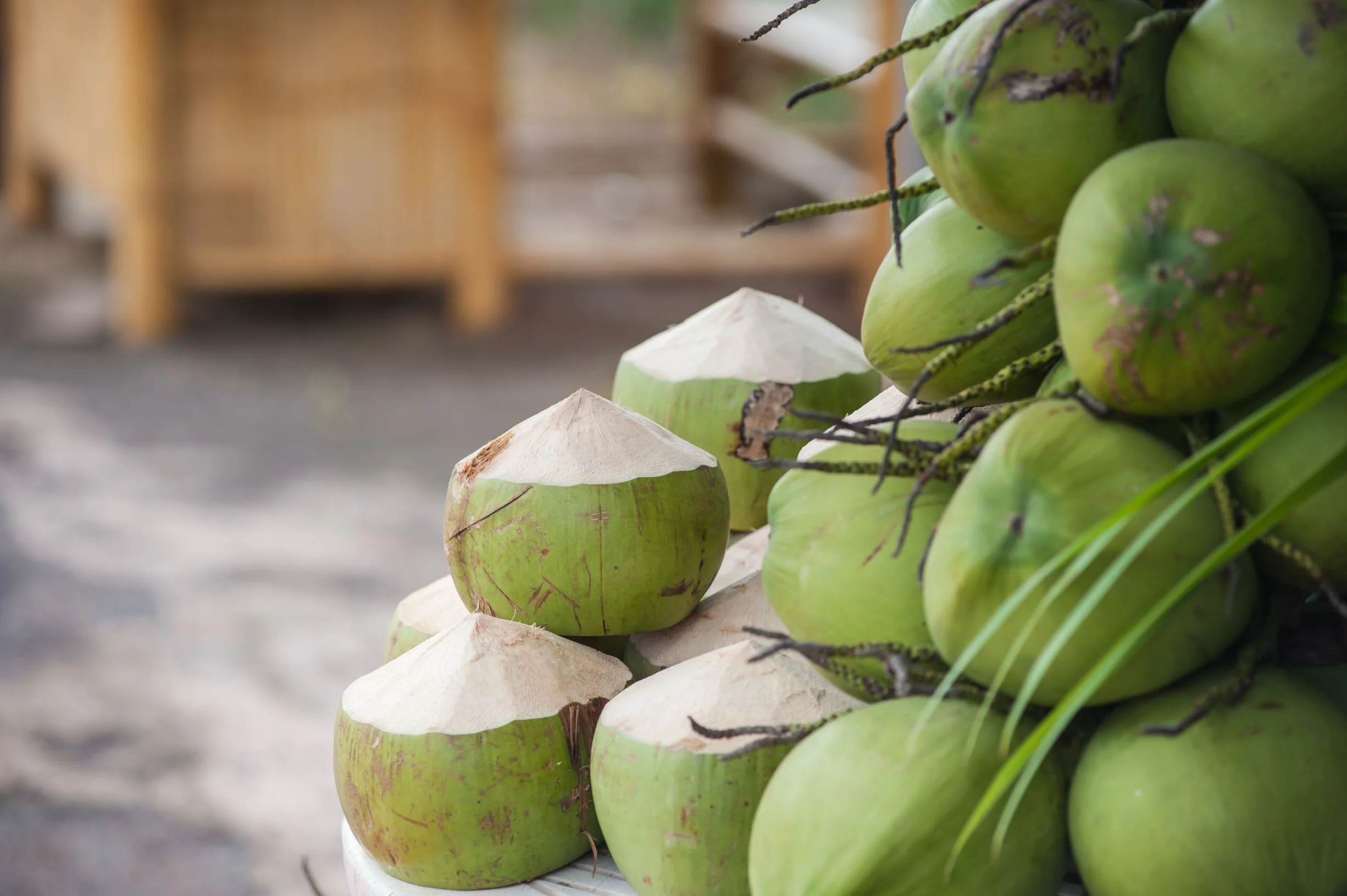 Sergipe Colhe Sucesso com Produção Recorde de Coco