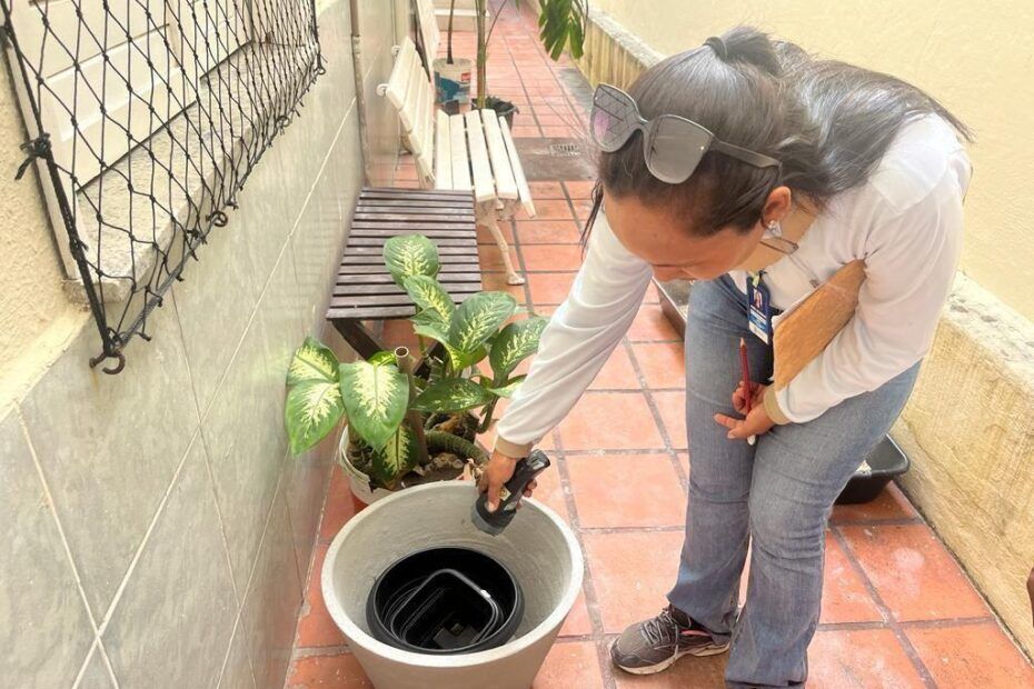 Prefeitura de Aracaju inicia coleta domiciliar para monitoramento do Aedes aegypti: LIRAa 2024