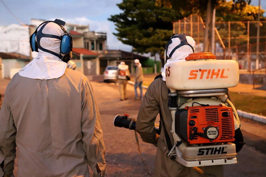 Aedes Aegypti Dengue Prevenção