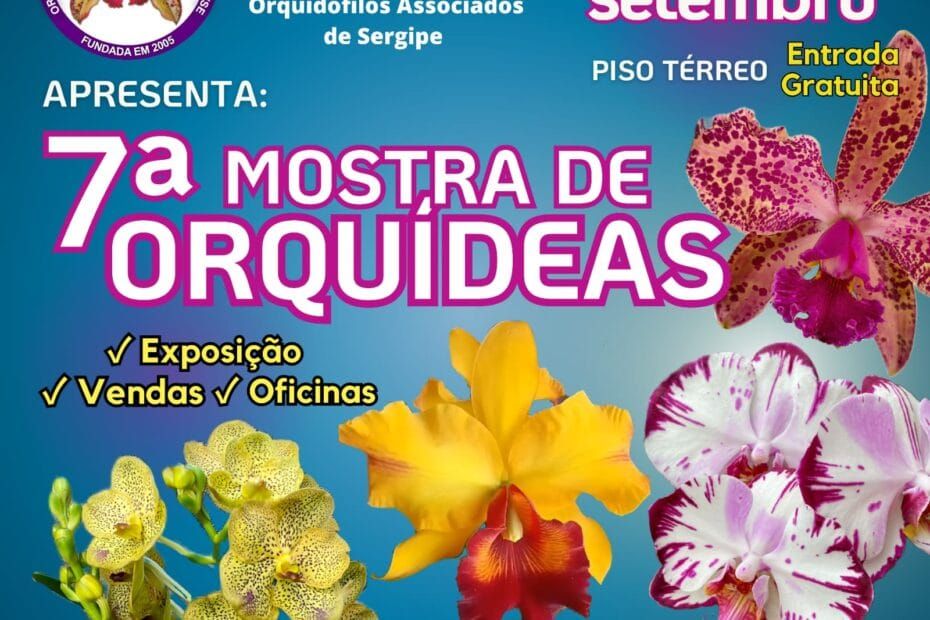 Aracaju sediará a 7ª mostra de orquídeas em setembro