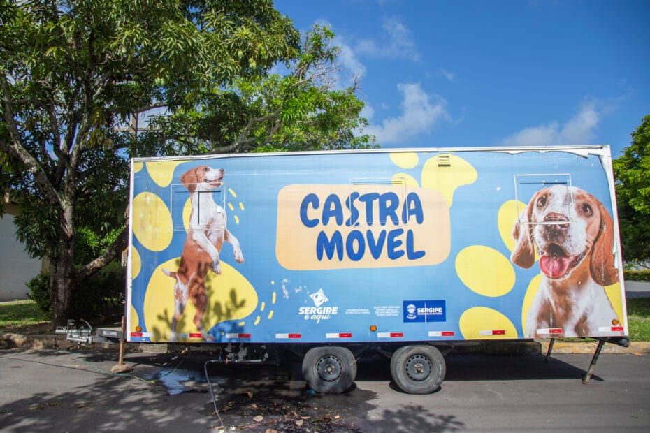 Castramóvel transforma a vida de cães e gatos em Sergipe com mais de 4.500 atendimentos