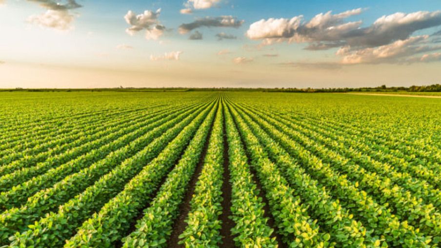 Sergipe avança na transição energética com parceria entre sedetec e FGV energia