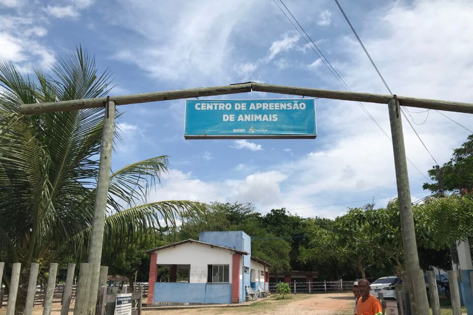 Centro de Apreensão de Animais