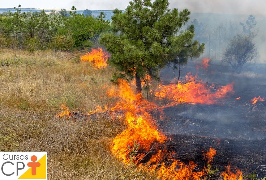 Câmara dos Deputados aprova projeto que inclui defesa ambiental e combate a queimadas na Força Nacional de Segurança