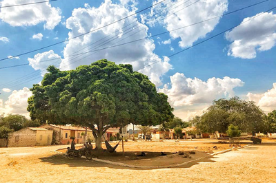 MPF recomenda manter escola em território quilombola em Canindé de São Francisco