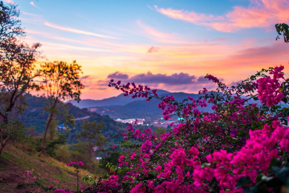 Primavera 2025 em Sergipe